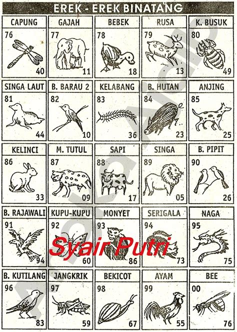 Binatang diadu togel Rumusan Shio Sidney / Pin Di Rumus Togel - #dirumahaja, ini rumus menentukan jenis shio, padukan dengan lambang hewan
